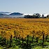Zillow to get listings from MLS in California's wine country