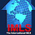 'International MLS' referral site offers agents search widget and listing syndication 