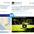 Golden retriever-hosted video vs. location sharing via Glympse