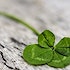 6 steps for letting go of luck and embracing success