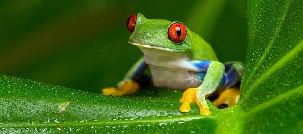 Zillow + dotloop: Raising the bar or boiling your data?