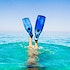 3 opportunities to swim in referrals this summer