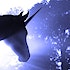You are the unicorn: How to 'start up' as an entrepreneur