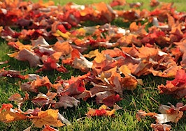 Why is fall the best time of the year for Chicago homebuyers?
