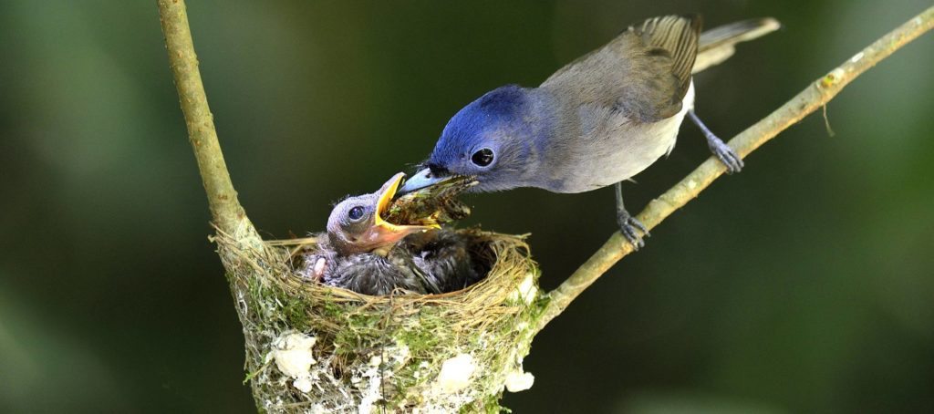 Lesson Learned: Stay true to yourself