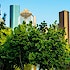 Where are Houston's most charming neighborhoods?