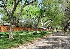 A tree-lined road in Sugar Land, Texas
