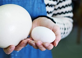 A woman holding a large egg and a small egg