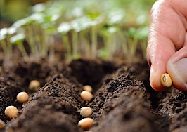A hand planting seeds in the ground