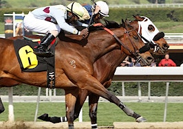 Horses racing neck-in-neck