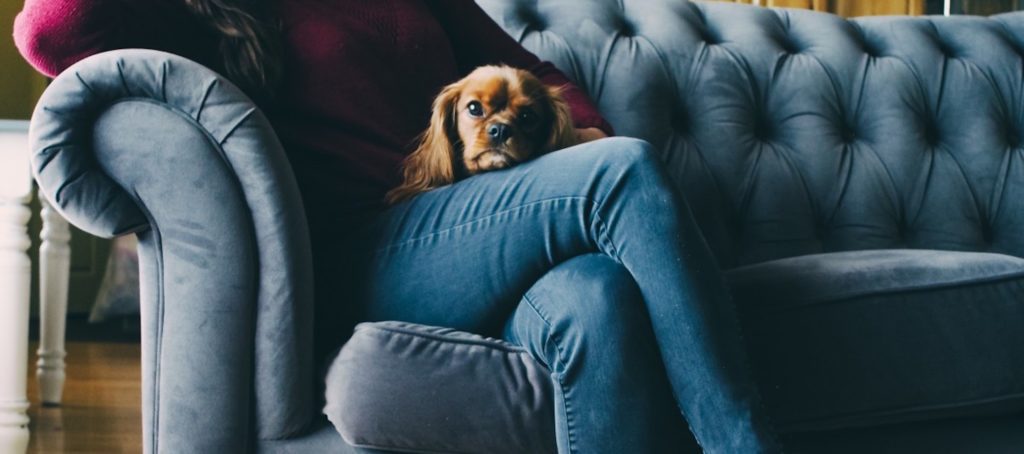 6 ideas to fuel your real estate prospecting efforts