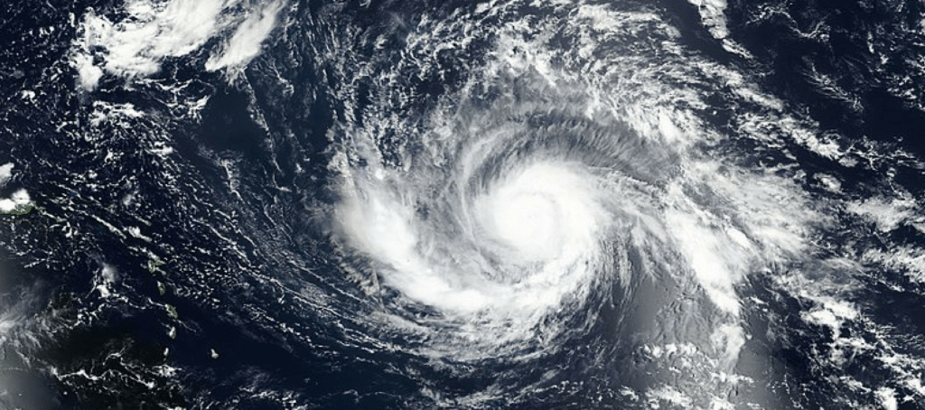 To Florida, Love Texas: Agents offer hurricane advice