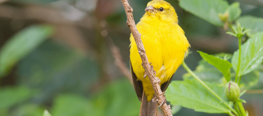 HouseCanary revives ComeHome as product for mortgage lenders