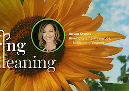 Spring Forward, Susan Stynes, Spring cleaning