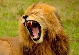 The lion roared: my talk with Gary Keller