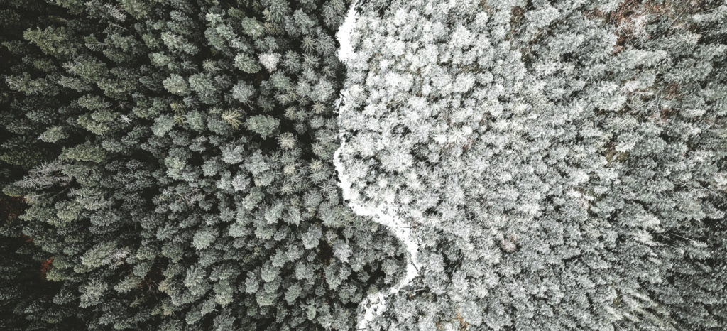 NAR apologizes for 'shameful' past housing discrimination