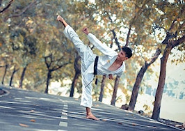 Karate martial arts kung fu