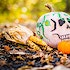 5 Halloween marketing tricks that'll treat you to loads of referrals
