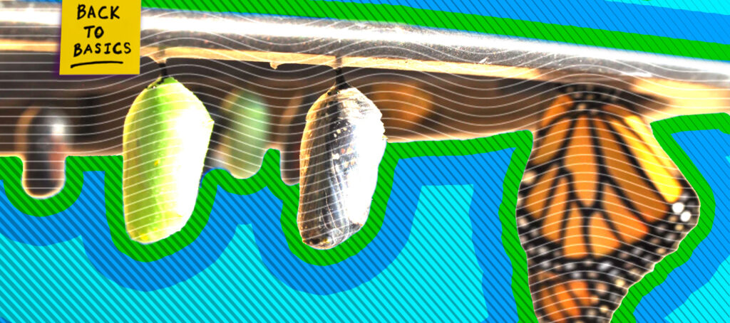 5 tips for getting past broker-owner growing pains