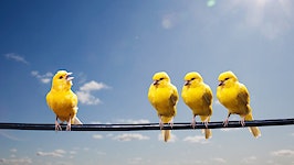 HouseCanary flies away with $65M in latest Series C funding round