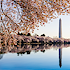 RealScout's Buyer Graph comes to Washington DC