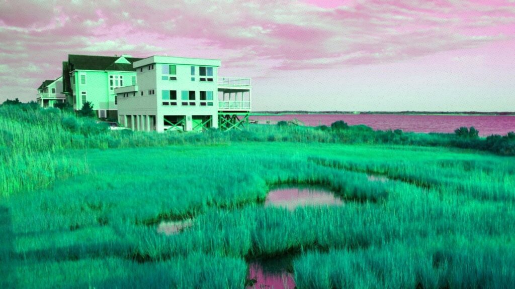 Real estate is looking very different in the Hamptons this summer — here’s why