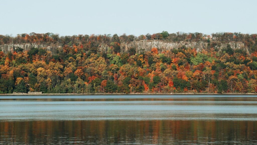 New York's largest MLS grows to nearly 50K agents with acquisition