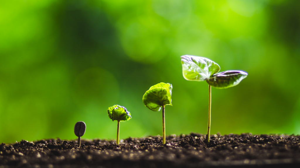 Following successful IPO, Fathom Holdings Q3 revenue soars 74%