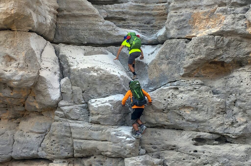 BoomTown and Sisu announce formal, customer-driven integration