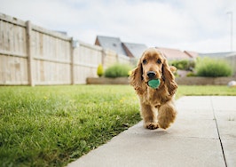 Smart Home Tech: What are the top smart devices for pets?