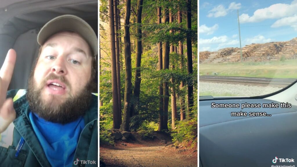 'Lumber truthers' question veracity of shortage through social media