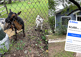 Man offers discounted rent for dog-sitting, draws internet outrage