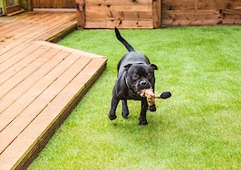 What real estate agents need to know about artificial turf