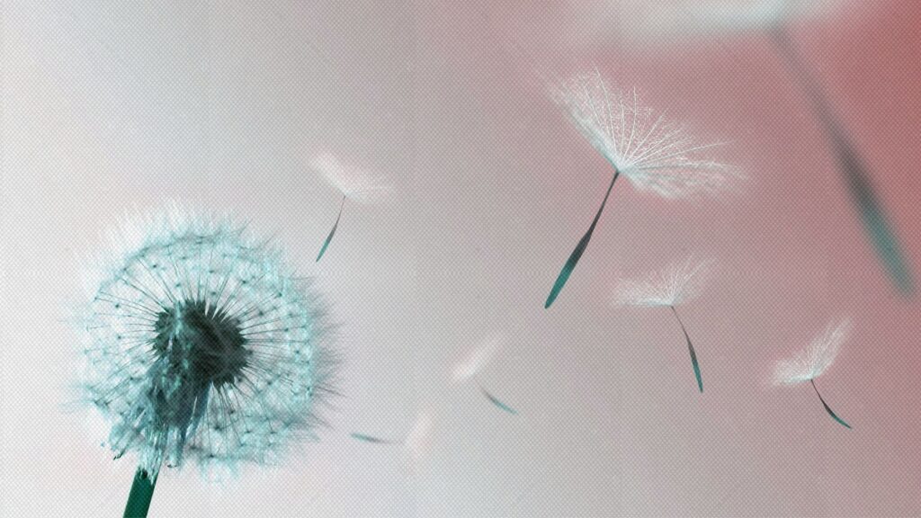 From cold to sold: Here’s how to take your business to the next level