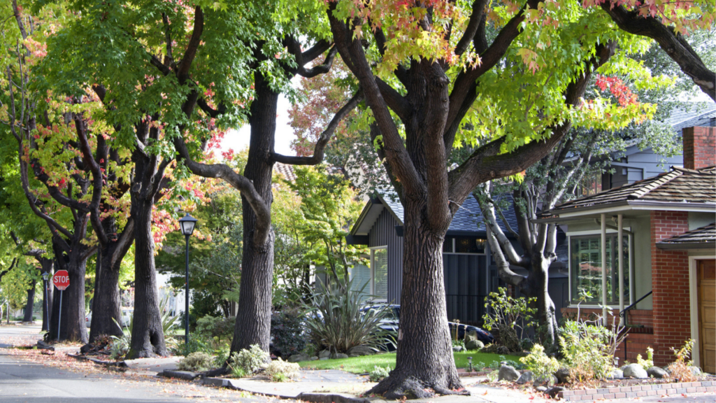 It's the most perilous time of year to overprice a home: Opendoor