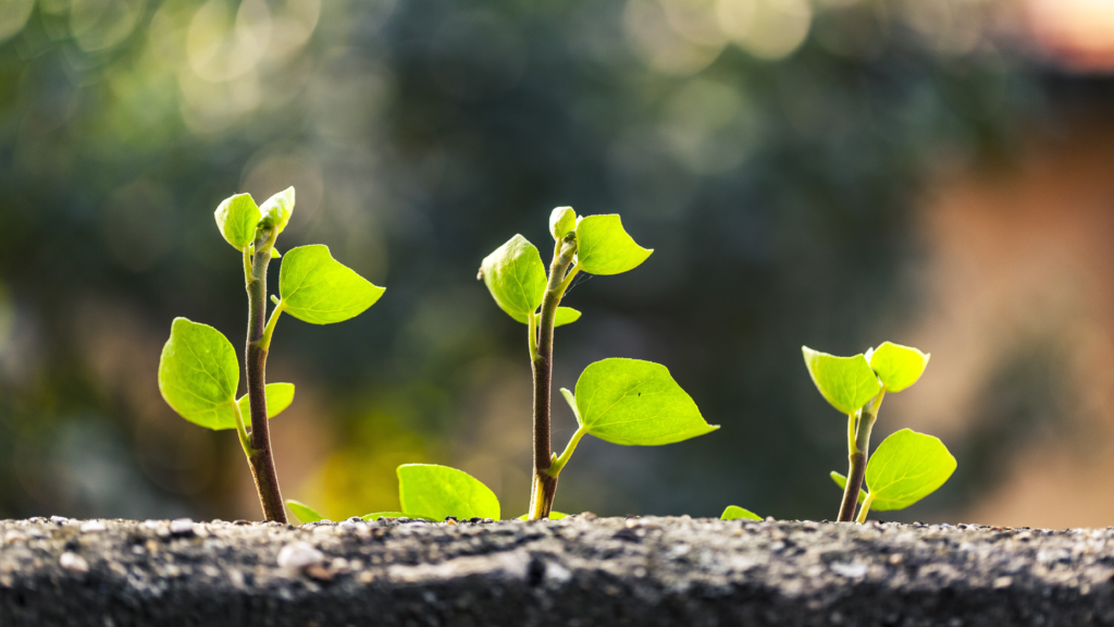 7 things that must decrease for your business to increase