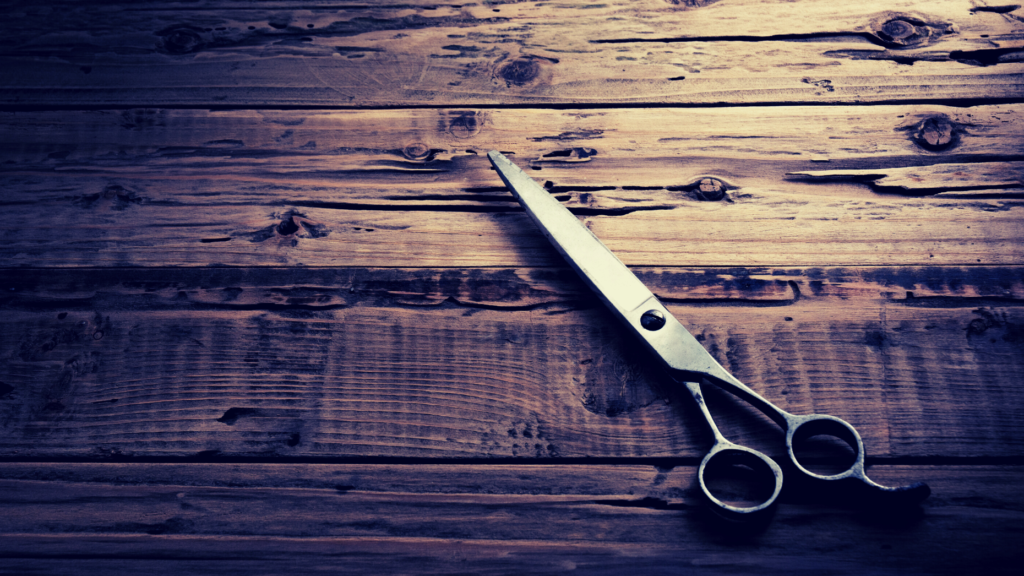 Divvy Homes slashes 12% of staff as rates continue to climb