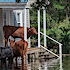 After Redfin offered flood-risk tool, buyers took heed