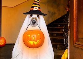 If you've got it, haunt it. 11 fangtastic Halloween costume ideas for real estate agents