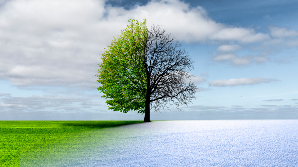 Change or lose it all: 3 steps for shifting when it matters most