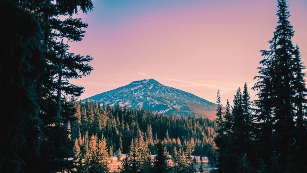 The Agency launches 70th franchise in Bend, Oregon