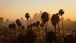Pool of agents working in LA shrunk amid slowdown last year: Analysis