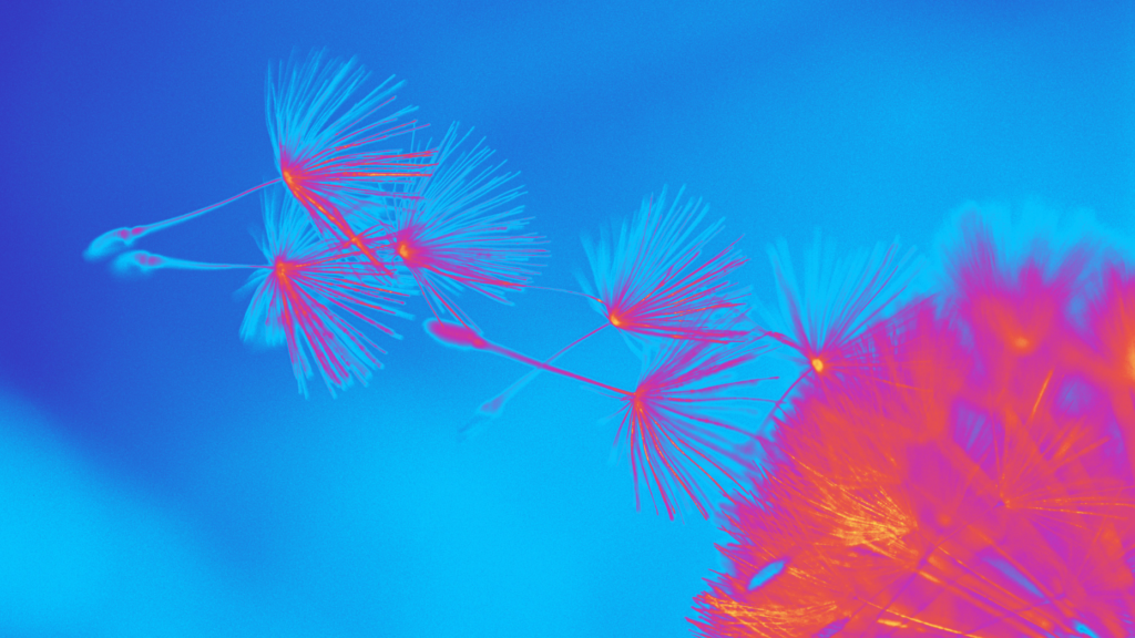 23 ways to turn one listing into many, many more