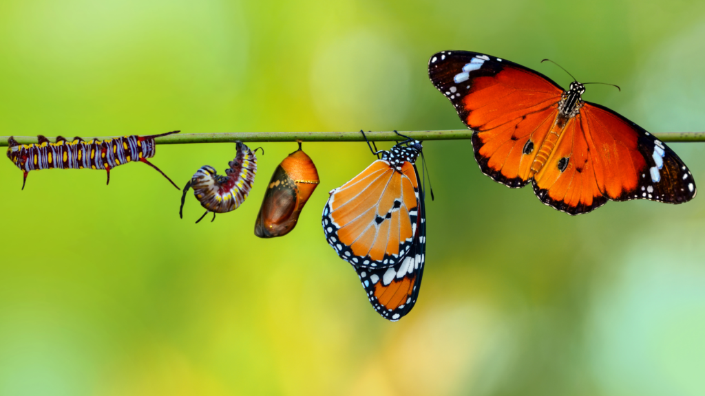 Do these 7 things to transform your life — and business — forever