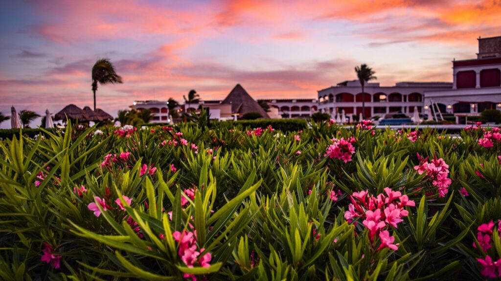 Nest Seekers expands to Mexico as demand from US skyrockets