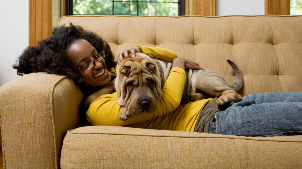 Allowing pets in your rental units: Pros and cons