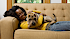 Allowing pets in your rental units: Pros and cons