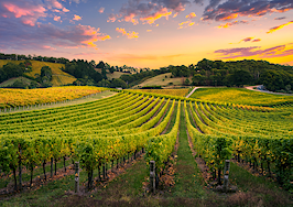 Emerging trends and opportunities in vineyard real estate investment
