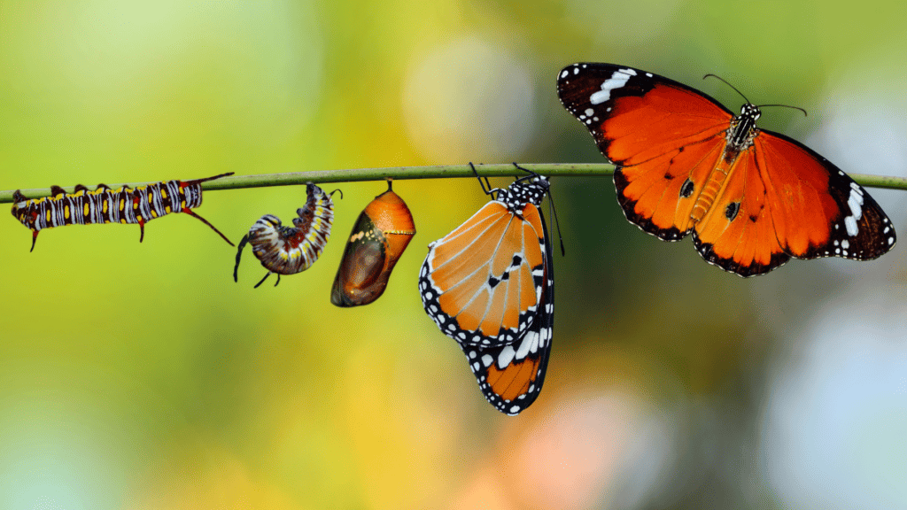 Redlining, steering, misogyny and fear: How the industry lost its way