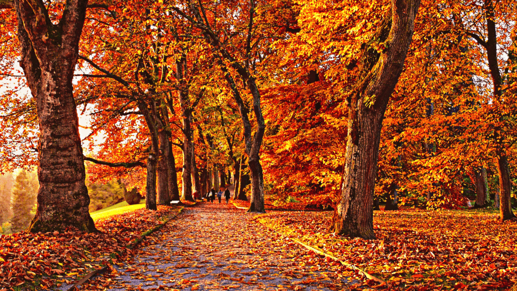 9 fall-friendly social media ideas to spice up your marketing